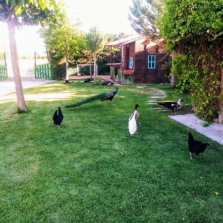 サモラ Refugio Con Casitas Infantilesヴィラ エクステリア 写真