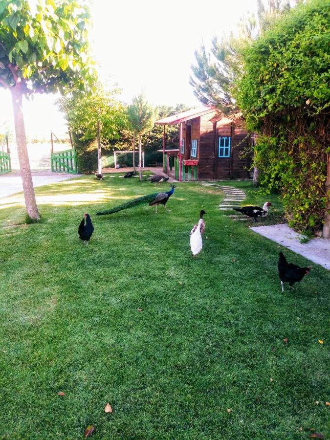 サモラ Refugio Con Casitas Infantilesヴィラ エクステリア 写真