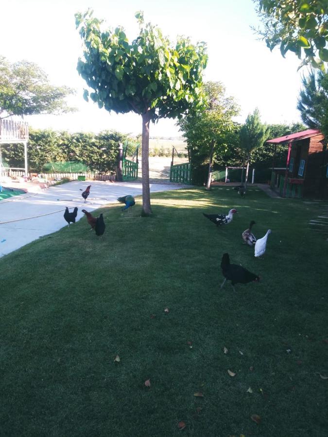 サモラ Refugio Con Casitas Infantilesヴィラ エクステリア 写真